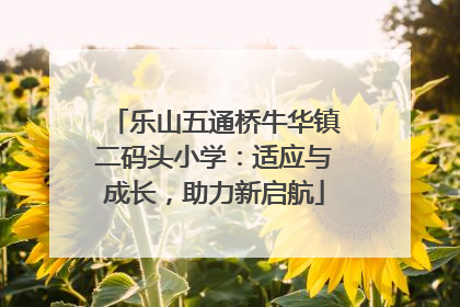 乐山五通桥牛华镇二码头小学：适应与成长，助力新启航