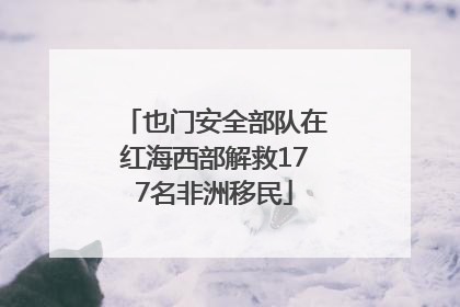 也门安全部队在红海西部解救177名非洲移民