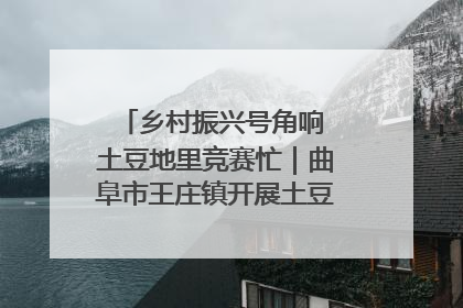 乡村振兴号角响 土豆地里竞赛忙｜曲阜市王庄镇开展土豆收获劳动竞赛