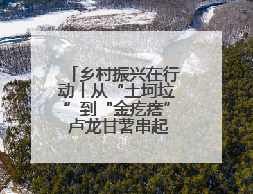 乡村振兴在行动丨从“土坷垃”到“金疙瘩” 卢龙甘薯串起富民产业链
