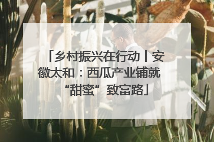乡村振兴在行动丨安徽太和：西瓜产业铺就“甜蜜”致富路