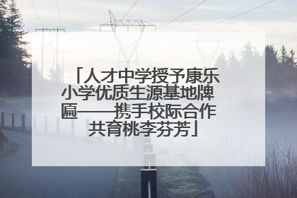 人才中学授予康乐小学优质生源基地牌匾——携手校际合作  共育桃李芬芳