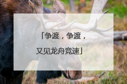 争渡，争渡，又见龙舟竞速