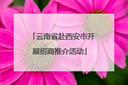 云南省赴西安市开展招商推介活动