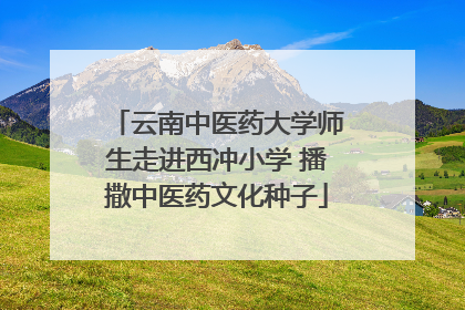 云南中医药大学师生走进西冲小学 播撒中医药文化种子