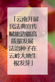 云南开展民法典宣传赋能边疆高质量发展 法治种子在云岭大地生根发芽