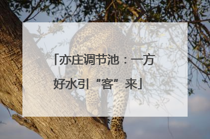 亦庄调节池：一方好水引“客”来
