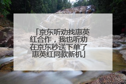 京东听劝找惠英红合作，我也听劝在京东秒送下单了惠英红同款新机