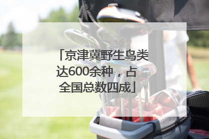 京津冀野生鸟类达600余种，占全国总数四成