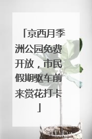 京西月季洲公园免费开放，市民假期驱车前来赏花打卡