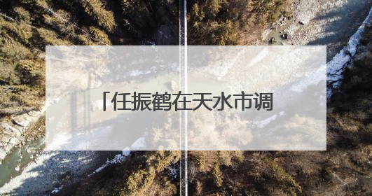 任振鹤在天水市调研时强调 不断塑造高质量发展的新动能新优势 更好服务和融入以国内大循环为主体的新发展格局