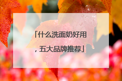 什么洗面奶好用，五大品牌推荐
