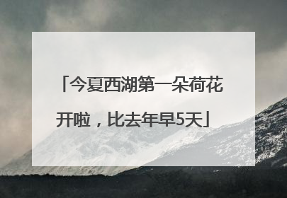 今夏西湖第一朵荷花开啦，比去年早5天