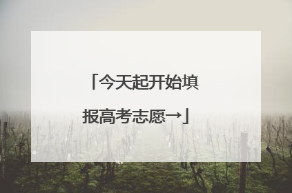 今天起开始填报高考志愿→