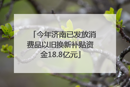 今年济南已发放消费品以旧换新补贴资金18.8亿元