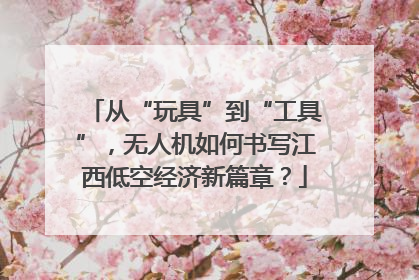 从“玩具”到“工具”，无人机如何书写江西低空经济新篇章？