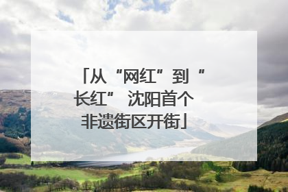 从“网红”到“长红” 沈阳首个非遗街区开街