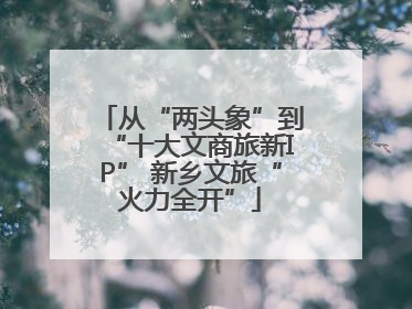 从“两头象”到“十大文商旅新IP” 新乡文旅“火力全开”