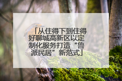 从住得下到住得好聊城高新区以定制化服务打造“鲁派民居”新范式