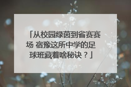 从校园绿茵到省赛赛场 宿豫这所中学的足球班藏着啥秘诀？
