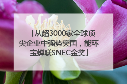 从超3000家全球顶尖企业中强势突围，能环宝蝉联SNEC金奖