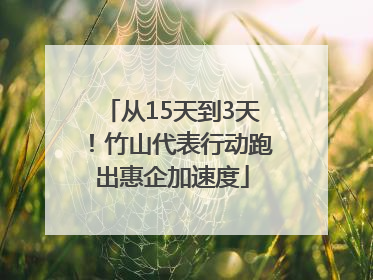 从15天到3天！竹山代表行动跑出惠企加速度