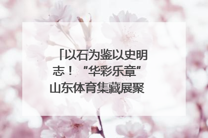 以石为鉴以史明志！“华彩乐章”山东体育集藏展聚焦“岱石丹心”