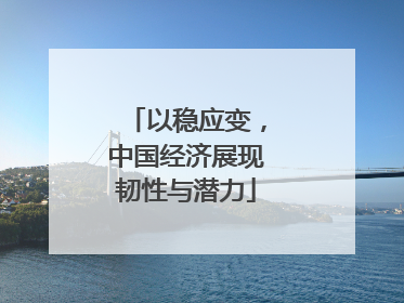 以稳应变，中国经济展现韧性与潜力
