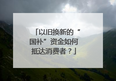 以旧换新的“国补”资金如何抵达消费者？