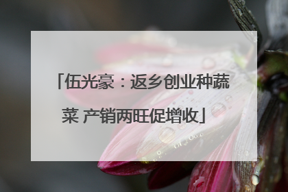 伍光豪：返乡创业种蔬菜 产销两旺促增收