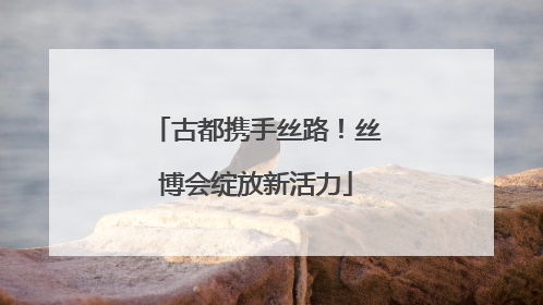 古都携手丝路！丝博会绽放新活力
