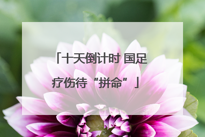 十天倒计时 国足疗伤待“拼命”