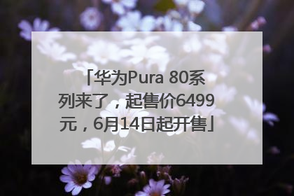 华为Pura 80系列来了，起售价6499元，6月14日起开售