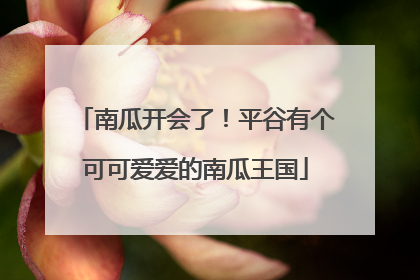 南瓜开会了！平谷有个可可爱爱的南瓜王国