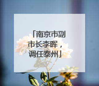 南京市副市长李晖，调任泰州