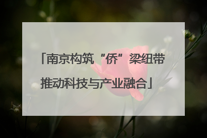 南京构筑“侨”梁纽带推动科技与产业融合