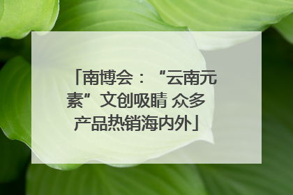 南博会：“云南元素”文创吸睛 众多产品热销海内外