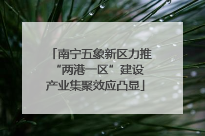 南宁五象新区力推“两港一区”建设 产业集聚效应凸显