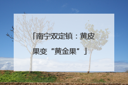 南宁双定镇：黄皮果变“黄金果”