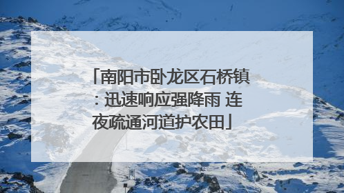 南阳市卧龙区石桥镇：迅速响应强降雨 连夜疏通河道护农田