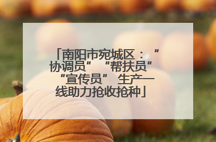 南阳市宛城区：“协调员”“帮扶员”“宣传员” 生产一线助力抢收抢种