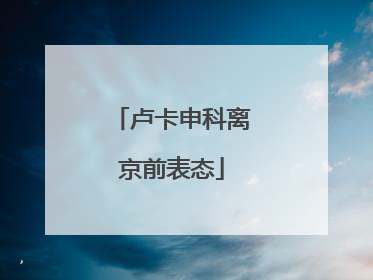 卢卡申科离京前表态