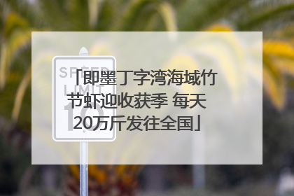 即墨丁字湾海域竹节虾迎收获季 每天20万斤发往全国