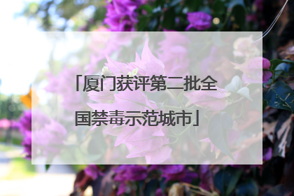 厦门获评第二批全国禁毒示范城市