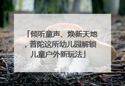 倾听童声、焕新天地，普陀这所幼儿园解锁儿童户外新玩法