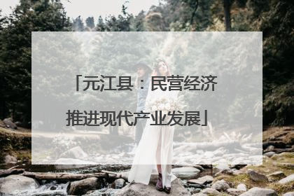 元江县：民营经济推进现代产业发展