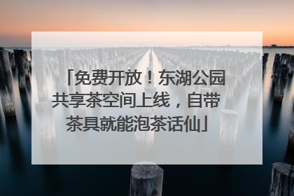 免费开放！东湖公园共享茶空间上线，自带茶具就能泡茶话仙