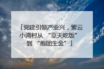 党建引领产业兴，紫云小湾村从 “靠天吃饭” 到 “抱团生金”