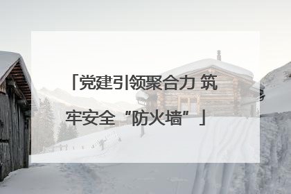 党建引领聚合力 筑牢安全“防火墙”