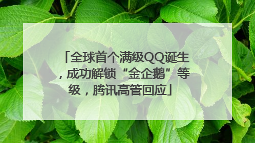 全球首个满级QQ诞生，成功解锁“金企鹅”等级，腾讯高管回应